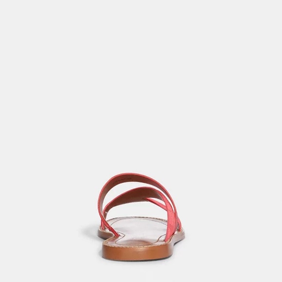 Coach sandal - Picture 7 of 11